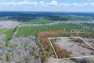 05 Pompey Rd, Manning, SC 29102 - Photo 2
