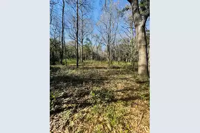 0 Rosa Scott Road, Edisto Island, SC 29438 - Photo 14