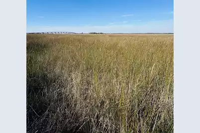 0 Rosa Scott Road, Edisto Island, SC 29438 - Photo 8