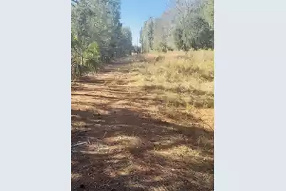 00 Rosa Scott Road, Edisto Island, SC 29438 - Photo 14