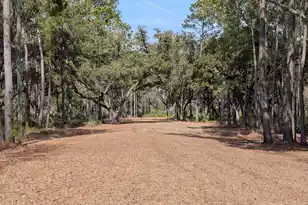0 King Rail Ln, Edisto Island, SC 29438 - Photo 64