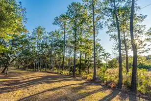 0 King Rail Ln, Edisto Island, SC 29438 - Photo 8
