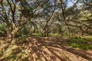 0 King Rail Ln, Edisto Island, SC 29438 - Photo 20