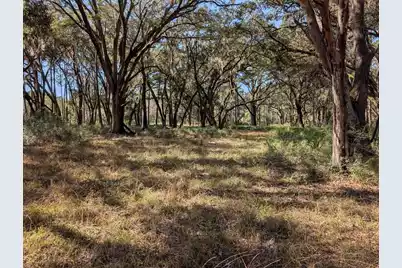 0 King Rail Lane, Edisto Island, SC 29438 - Photo 68