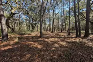 0 King Rail Ln, Edisto Island, SC 29438 - Photo 58