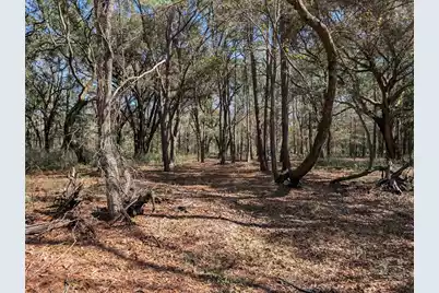 0 King Rail Lane, Edisto Island, SC 29438 - Photo 56