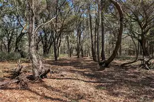 0 King Rail Ln, Edisto Island, SC 29438 - Photo 56