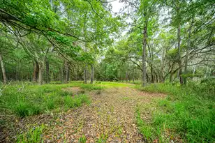 0 King Rail Ln, Edisto Island, SC 29438 - Photo 38