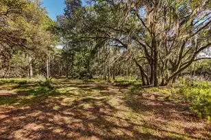 0 King Rail Ln, Edisto Island, SC 29438 - Photo 36