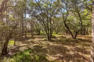 0 King Rail Ln, Edisto Island, SC 29438 - Photo 44