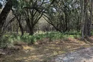 0 King Rail Ln, Edisto Island, SC 29438 - Photo 62