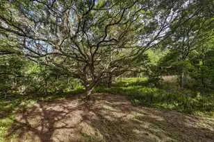 0 King Rail Ln, Edisto Island, SC 29438 - Photo 22