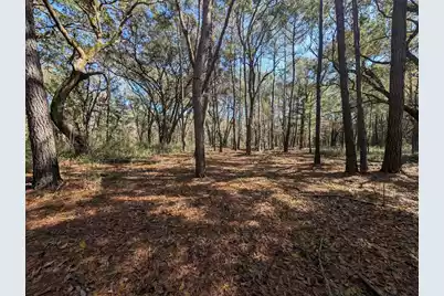 0 King Rail Lane, Edisto Island, SC 29438 - Photo 60