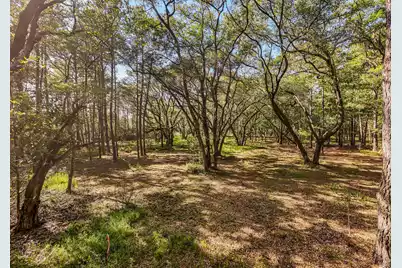 0 King Rail Lane, Edisto Island, SC 29438 - Photo 42
