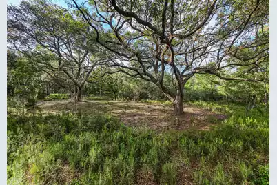 0 King Rail Lane, Edisto Island, SC 29438 - Photo 20