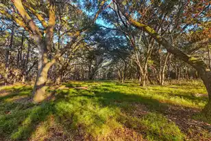 0 King Rail Ln, Edisto Island, SC 29438 - Photo 1