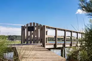 4638 Cape Island Dr, Awendaw, SC 29429 - Photo 60