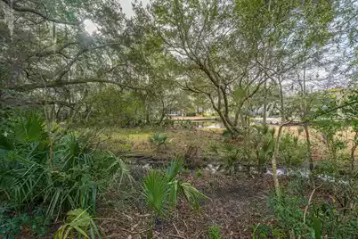 509 Chimney Bluff Drive, Mount Pleasant, SC 29464 - Photo 48