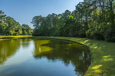 3004 Treadwell Street, Mount Pleasant, SC 29466 - Photo 62