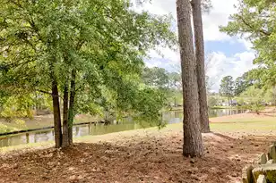 274 Sweet Alyssum Dr, Ladson, SC 29456 - Photo 54