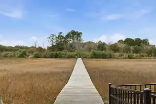 224 Old Hickory Crossing, Johns Island, SC 29455 - Photo 4