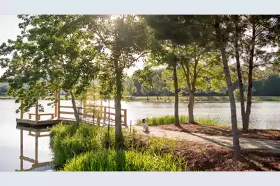 256 Witherspoon Street, Summerville, SC 29486 - Photo 38