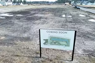 304 Trailmore Ln, Summerville, SC 29486 - Photo 48