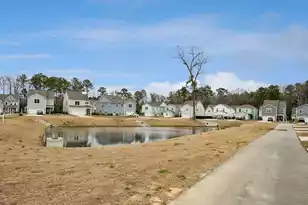 120 Loon Dr, Summerville, SC 29483 - Photo 50