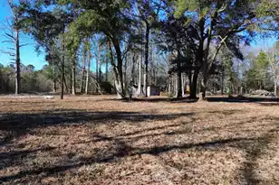 0 Mill Pond Rd, Dorchester, SC 29437 - Photo 2
