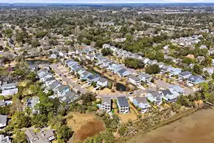 1531 Mossy Br Wy, Mount Pleasant, SC 29464 - Photo 62