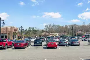 136 Fulmar Pl, Charleston, SC 29414 - Photo 32