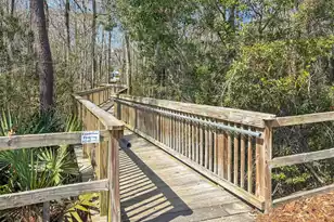 136 Fulmar Pl, Charleston, SC 29414 - Photo 40