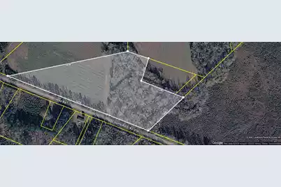 0 Guess Road, Greeleyville, SC 29056 - Photo 1