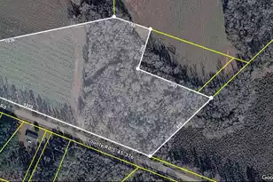 0 Guess Rd, Greeleyville, SC 29056 - Photo 1