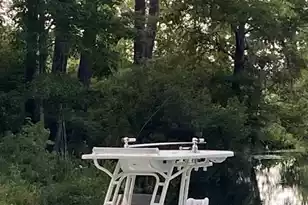 538 Castlebury Rd, Walterboro, SC 29488 - Photo 34