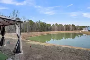 396 Painted Lady Ln, Goose Creek, SC 29445 - Photo 24