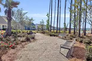 1541 Homecoming Blvd, Ravenel, SC 29470 - Photo 64