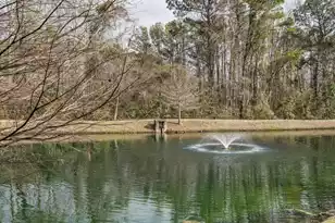 2228 Chatelain Way, Mount Pleasant, SC 29464 - Photo 20