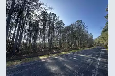 801 Gar Road, Smoaks, SC 29481 - Photo 4