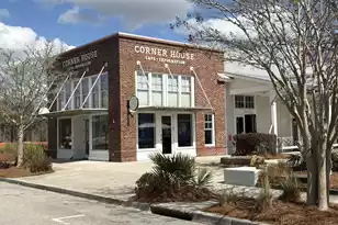 332 Pink Azalea St, Summerville, SC 29485 - Photo 42