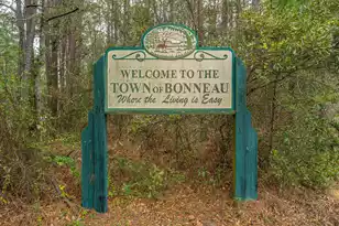 164 Albacore Rd, Bonneau, SC 29431 - Photo 64