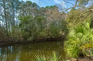 1561 Montclair St, Charleston, SC 29407 - Photo 78