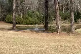 7 Dogwood Ln, Walterboro, SC 29488 - Photo 14