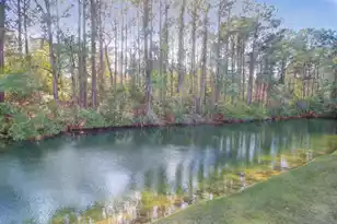 3061 Monhegan Way, Mount Pleasant, SC 29466 - Photo 48