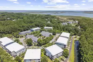 3061 Monhegan Way, Mount Pleasant, SC 29466 - Photo 74