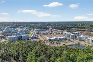 116 Falaise St, Charleston, SC 29492 - Photo 42