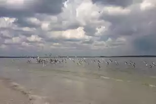 3701 Docksite Rd, Edisto Beach, SC 29438 - Photo 20