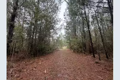 9750 Cottageville Highway, Cottageville, SC 29435 - Photo 26