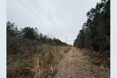 9750 Cottageville Highway, Cottageville, SC 29435 - Photo 46