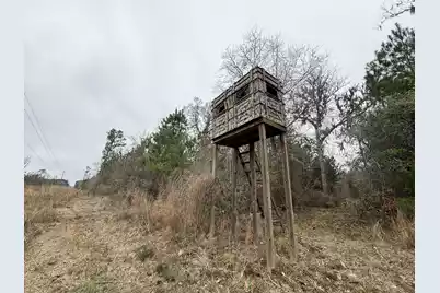 9750 Cottageville Highway, Cottageville, SC 29435 - Photo 48